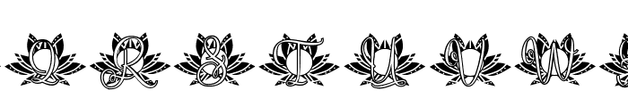 Rebirth Lotus Mandala Monogram Font LOWERCASE