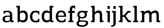 Regan Slab DemiBold Font LOWERCASE