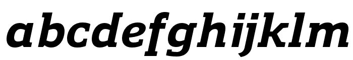 Regan Slab ExtraBold Italic Font LOWERCASE