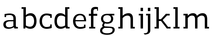Regan Slab Medium Font LOWERCASE