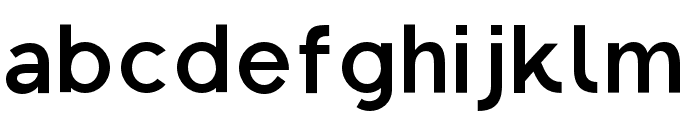 Regon-Bold Font LOWERCASE