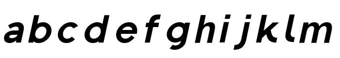 Regon Extra Bold Italic Font LOWERCASE