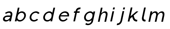 Regon Medium Italic Font LOWERCASE