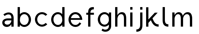 Regon-Medium Font LOWERCASE