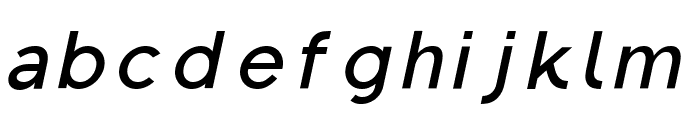 Regon Semi Bold Italic Font LOWERCASE