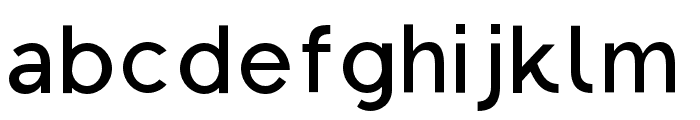 Regon-SemiBold Font LOWERCASE