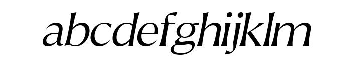 Reifilano Light Italic Font LOWERCASE