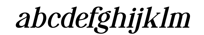 Reihard Sejenak Italic Font LOWERCASE