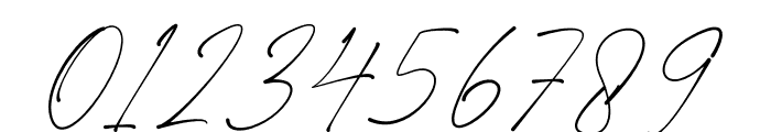Renatha Signature Font OTHER CHARS