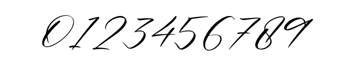 Renathalia Signature Italic Font OTHER CHARS