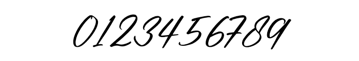 Renatta Signature Italic Font OTHER CHARS