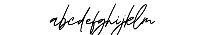 ReviliaSignature-Regular Font LOWERCASE