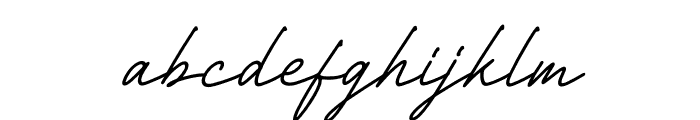 Richard Signatera Italic Font LOWERCASE