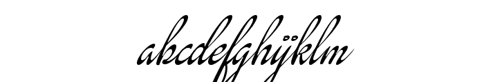 Rinapelle Script Regular FONT