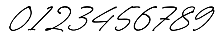 Rinatha Italic Font OTHER CHARS