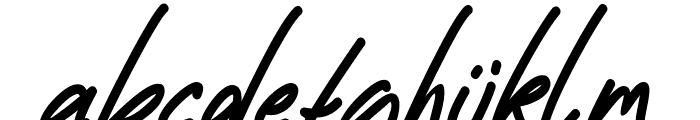 Robertto Italic Font LOWERCASE