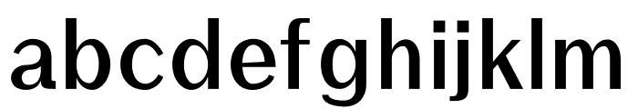 Rockley Bold Font LOWERCASE