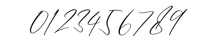 Rockystyle Signature Italic Font OTHER CHARS