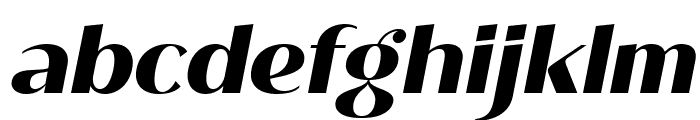 Roden ExtraBold Italic Font LOWERCASE