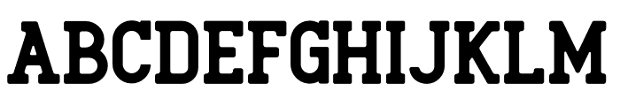 Roger Serif Bold Font UPPERCASE
