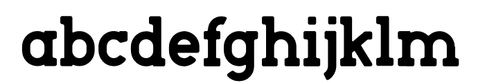 Roger Serif Bold Font LOWERCASE