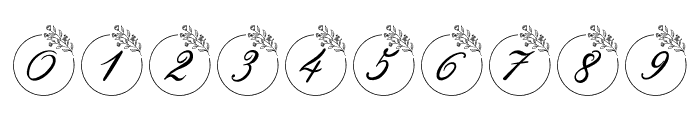 Romantic Wedding Monogram Font OTHER CHARS