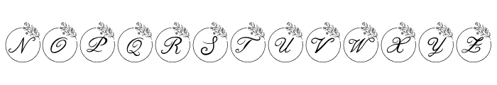 Romantic Wedding Monogram Font UPPERCASE