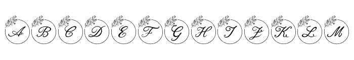 Romantic Wedding Monogram FONT