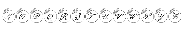 Romantic Wedding Monogram Font LOWERCASE