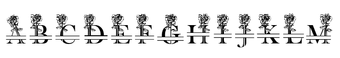 Rosalia Monogram Font LOWERCASE