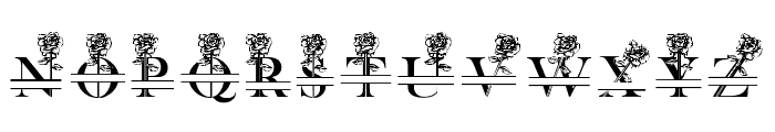 Rosalia Monogram Font LOWERCASE
