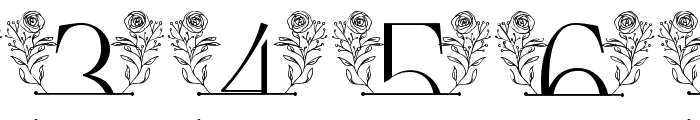 Rose Blossom Line Monogram Font OTHER CHARS