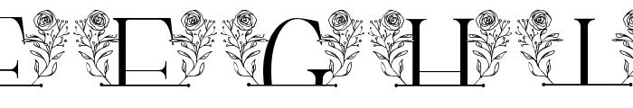 Rose Blossom Line Monogram Font LOWERCASE