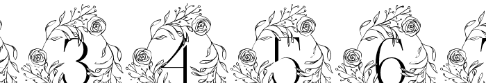 Rose Blossom Monogram Font OTHER CHARS