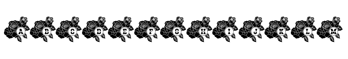Rose Mono Split Font LOWERCASE