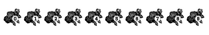 Rose Mono Font OTHER CHARS
