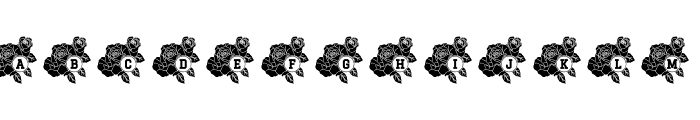 Rose Mono Font UPPERCASE
