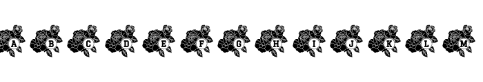 Rose Mono Font LOWERCASE