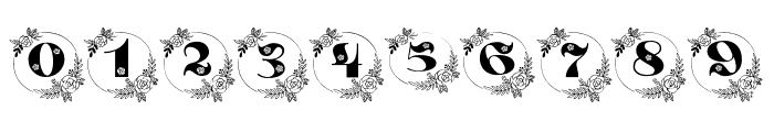 Rose-Monogram-Font Font OTHER CHARS