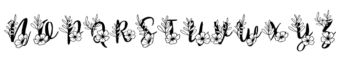 Rose Monogram Font LOWERCASE
