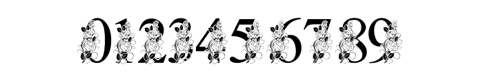 RoseBeauty-Monogram Font OTHER CHARS