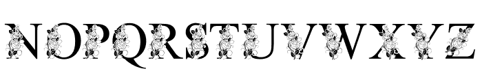 RoseBeauty-Monogram Font UPPERCASE
