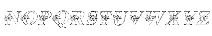 Roses Flower-Italic Font LOWERCASE
