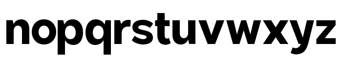 Rosity Bold Font LOWERCASE