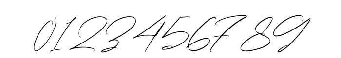 Rotherdam Signature Italic Font OTHER CHARS