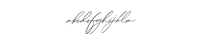 Rotherdam Signature Italic Font LOWERCASE