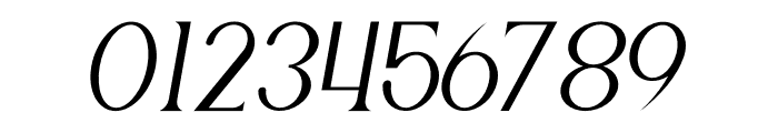 Rowan Berry Italic Font OTHER CHARS