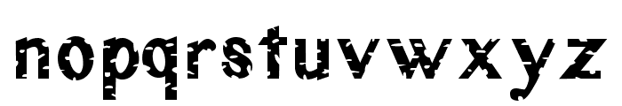 Rustic Oak Grunge Font LOWERCASE