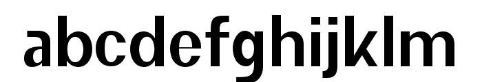 SELENAMARIN-Light Font LOWERCASE