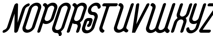 STORAGE SYSTEM Light Italic Font UPPERCASE